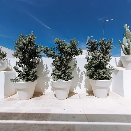 Apartmán Infinito Bianco